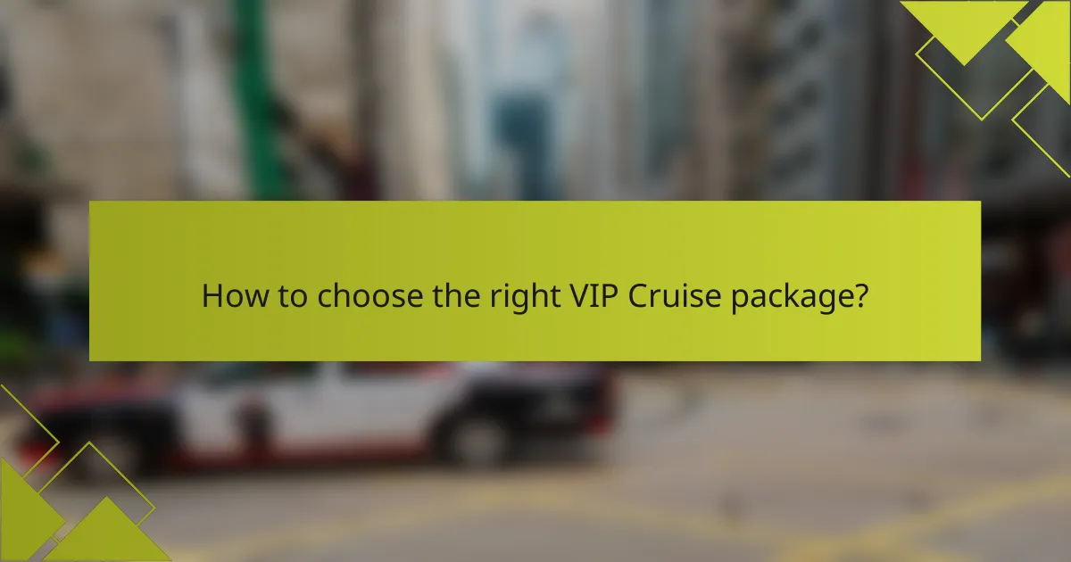 How to choose the right VIP Cruise package?