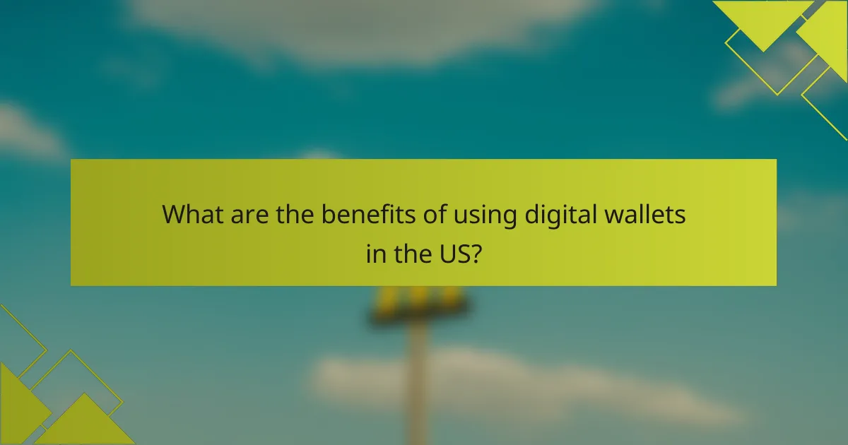 What are the benefits of using digital wallets in the US?