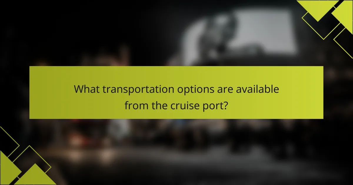 What transportation options are available from the cruise port?